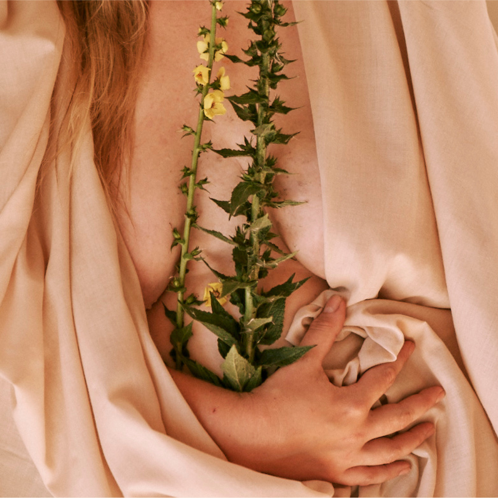 Cleansing vs. Nourishing: Rethinking Detox Culture