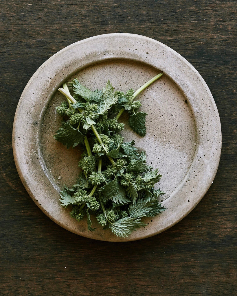 NUTRIENT DEFICIENCIES