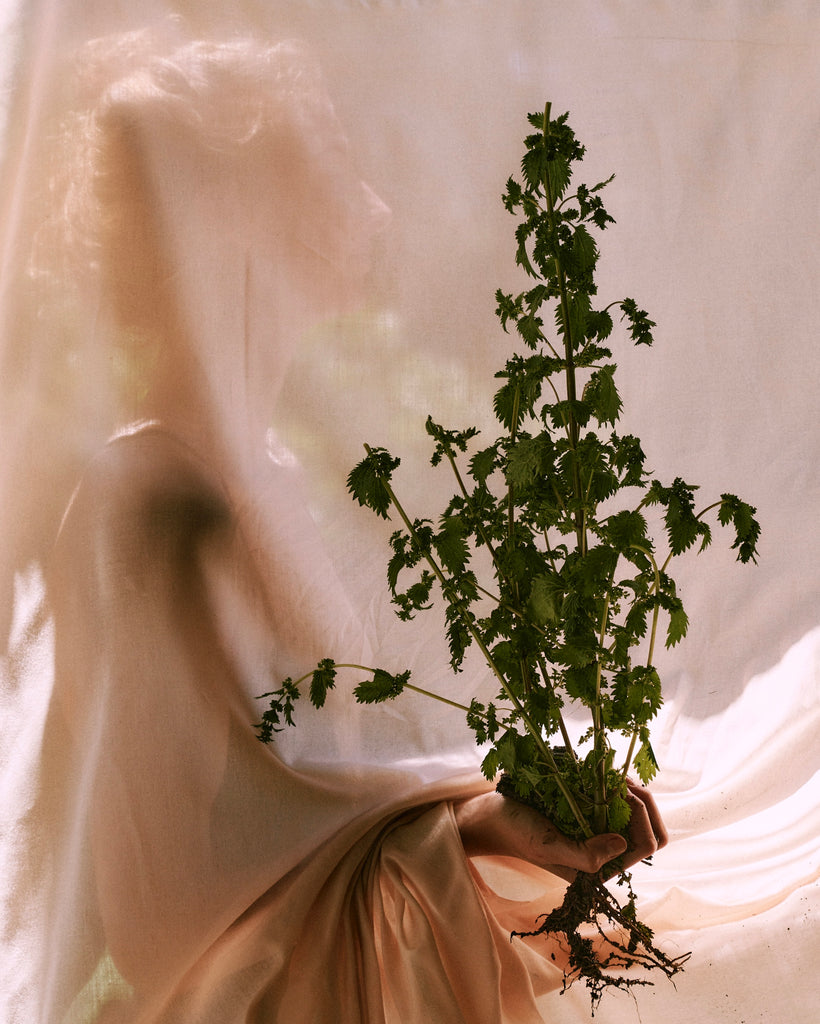 ABOUT OUR WEEDS